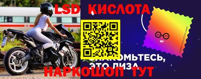 бошки Вязьма